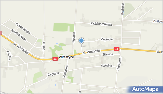 Witaszyce, Zielona, mapa Witaszyce