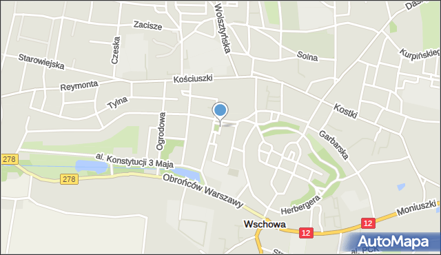 Wschowa, Zielony Rynek, mapa Wschowa