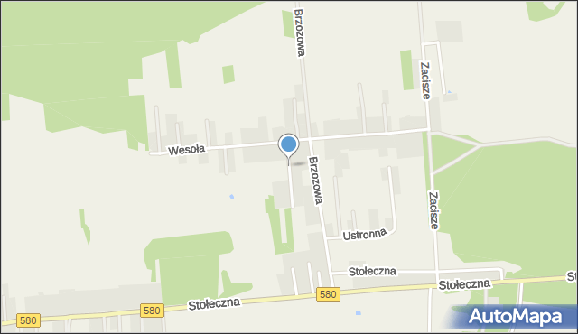 Zaborówek gmina Leszno, Zielona, mapa Zaborówek gmina Leszno