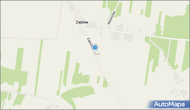 Ziębów, Ziębów, mapa Ziębów