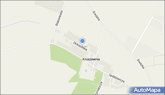 Kruszewnia gmina Swarzędz, Złotopolska, mapa Kruszewnia gmina Swarzędz