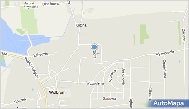 Wolbrom, Złota, mapa Wolbrom