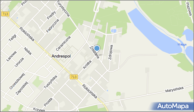 Andrespol, Źródlana, mapa Andrespol