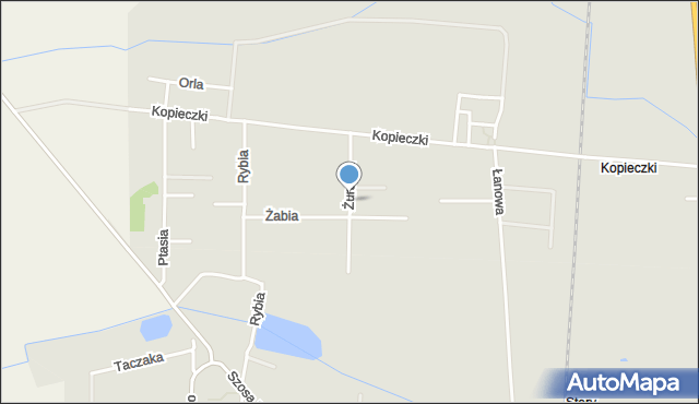 Krotoszyn, Żurawia, mapa Krotoszyna