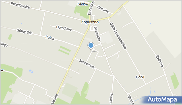 Łopuszno, Żurowskiej-Machałowej Natalii, mapa Łopuszno