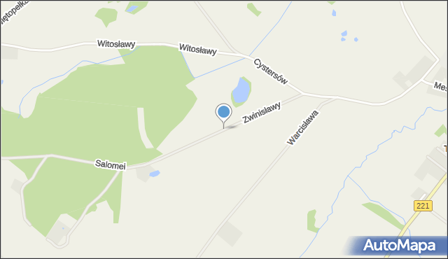 Trzepowo gmina Przywidz, Zwinisławy, mapa Trzepowo gmina Przywidz