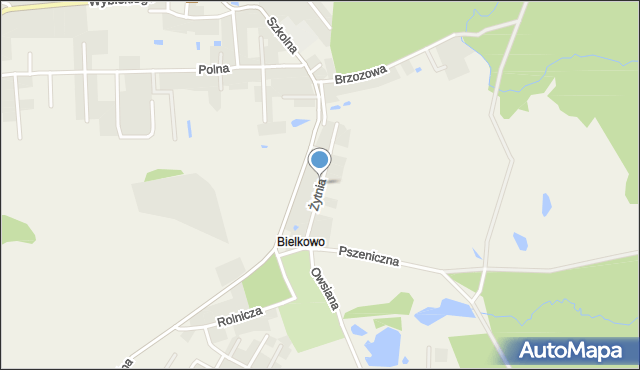 Bielkowo gmina Kolbudy, Żytnia, mapa Bielkowo gmina Kolbudy