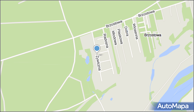 Brok powiat ostrowski, Żywiczna, mapa Brok powiat ostrowski