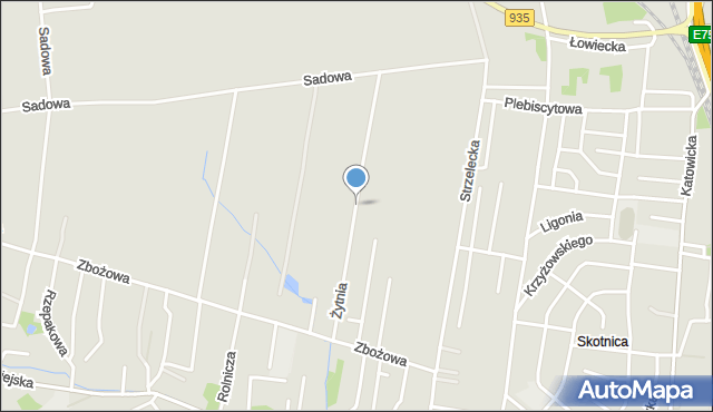 Pszczyna, Żytnia, mapa Pszczyny