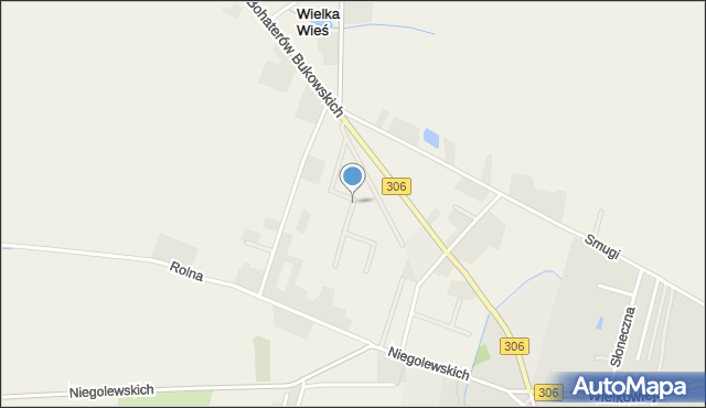 Wielka Wieś gmina Buk, Żytnia, mapa Wielka Wieś gmina Buk