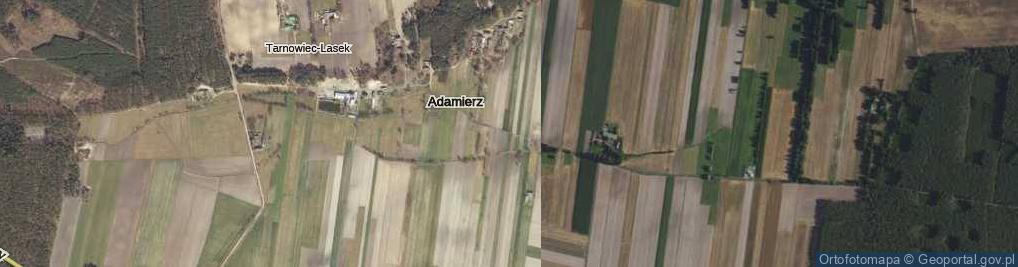 Zdjęcie satelitarne Adamierz ul.