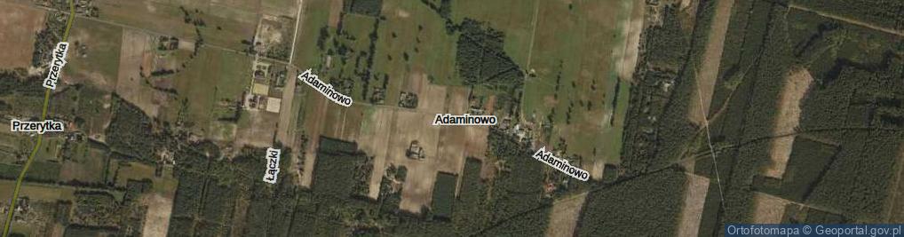 Zdjęcie satelitarne Adaminowo ul.
