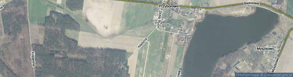Zdjęcie satelitarne Aladyna ul.