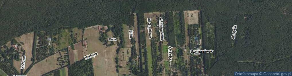 Zdjęcie satelitarne Aleja Agatowa al.