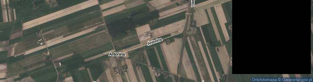 Zdjęcie satelitarne Antonina ul.