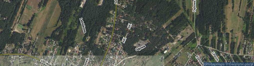 Zdjęcie satelitarne Armii Krajowej ul.