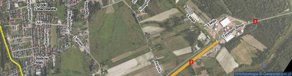 Zdjęcie satelitarne Asnyka Adama ul.