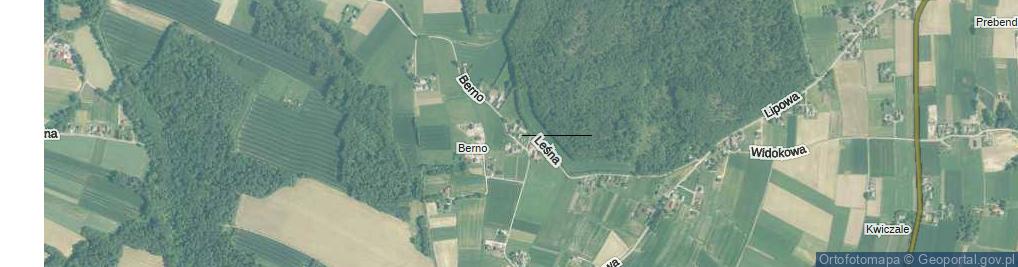 Zdjęcie satelitarne Berno ul.