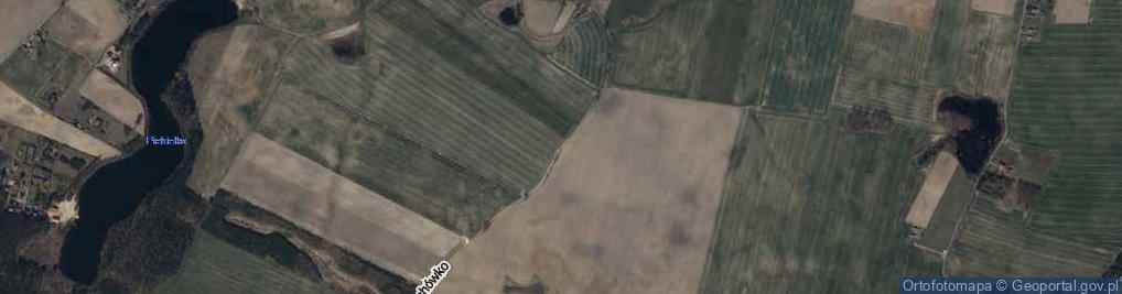 Zdjęcie satelitarne Białachówko ul.