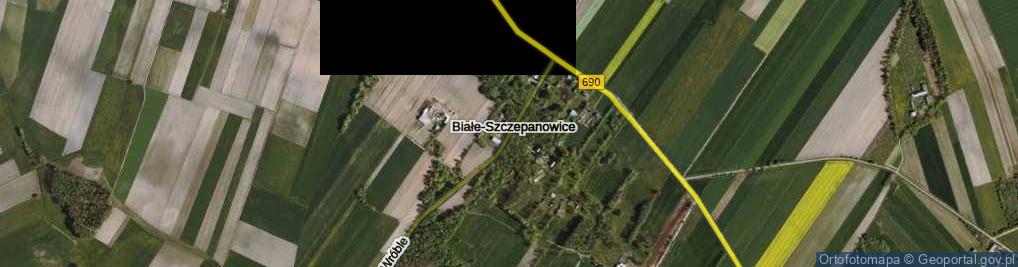 Zdjęcie satelitarne Białe-Szczepanowice ul.