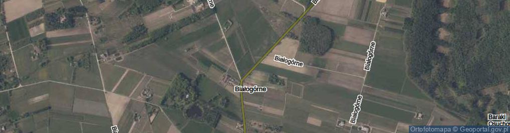 Zdjęcie satelitarne Białogórne ul.