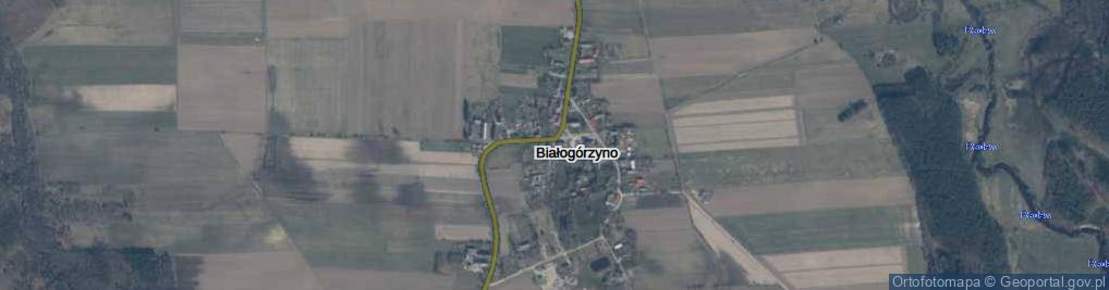 Zdjęcie satelitarne Białogórzyno ul.