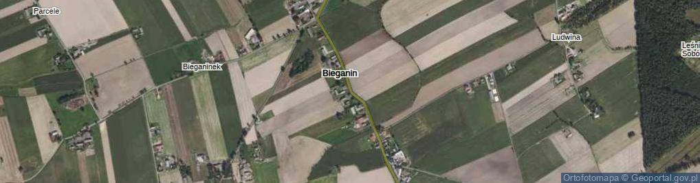 Zdjęcie satelitarne Bieganin ul.