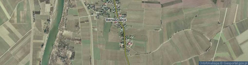 Zdjęcie satelitarne Bieniaszowice ul.