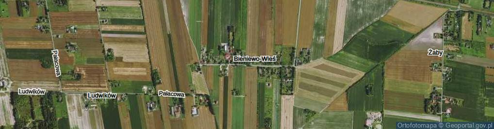 Zdjęcie satelitarne Bieniewo-Wieś ul.