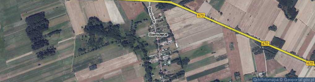 Zdjęcie satelitarne Bieniowce ul.