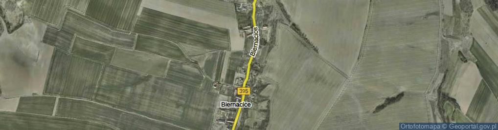 Zdjęcie satelitarne Biernacice ul.