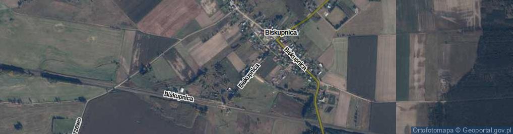 Zdjęcie satelitarne Biskupnica ul.
