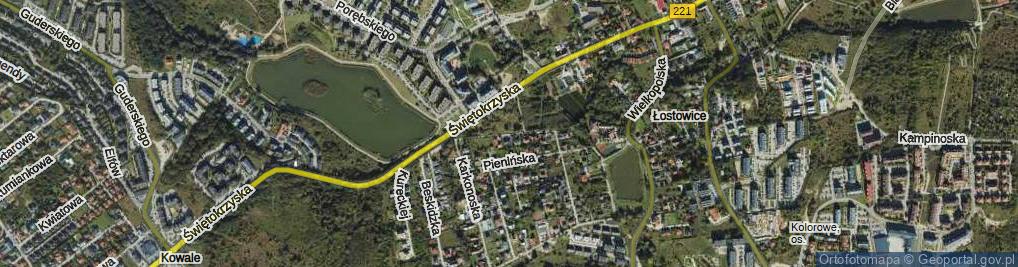 Zdjęcie satelitarne Bieszczadzka ul.