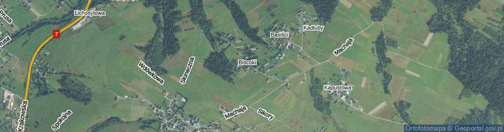 Zdjęcie satelitarne Biszczaków ul.