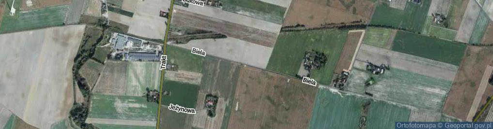 Zdjęcie satelitarne Biela ul.
