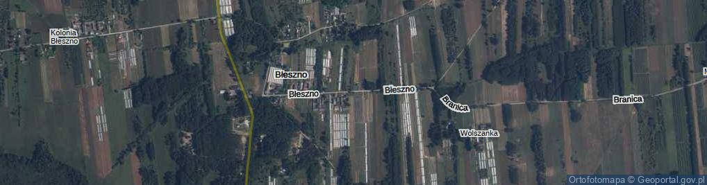Zdjęcie satelitarne Błeszno ul.