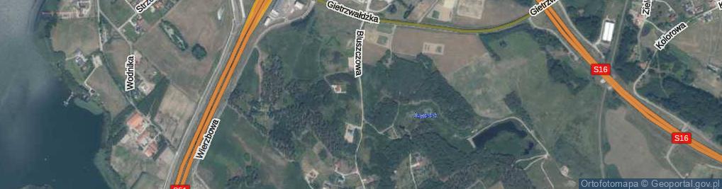 Zdjęcie satelitarne Bluszczowa ul.