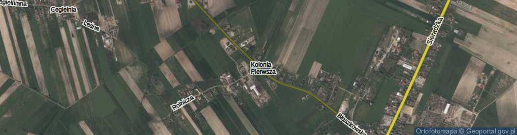 Zdjęcie satelitarne Błaszkowska ul.