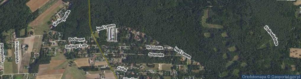 Zdjęcie satelitarne Bliźniacza ul.