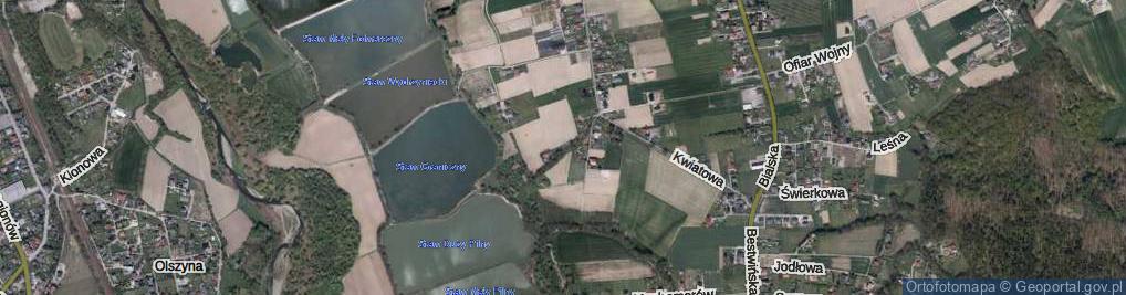 Zdjęcie satelitarne Borowików ul.