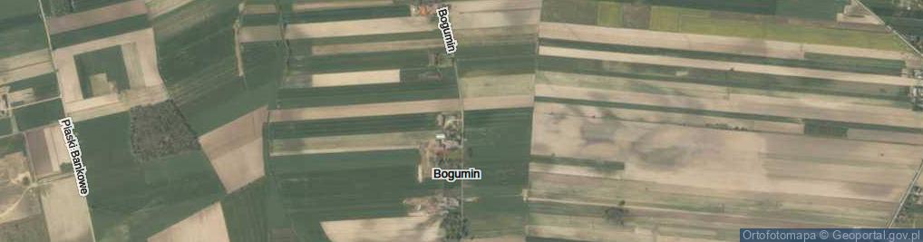 Zdjęcie satelitarne Bogumin ul.