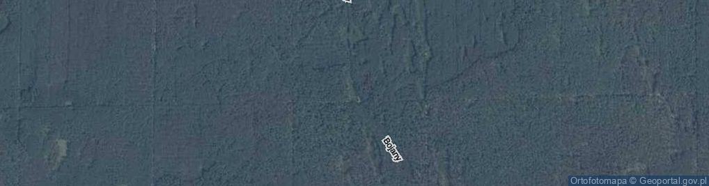 Zdjęcie satelitarne Bojany ul.