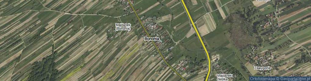 Zdjęcie satelitarne Bononia ul.