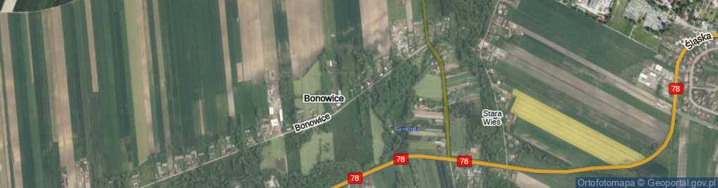 Zdjęcie satelitarne Bonowice ul.