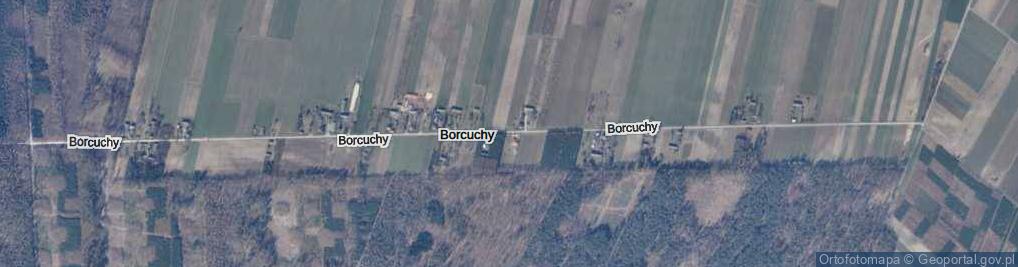Zdjęcie satelitarne Borcuchy ul.