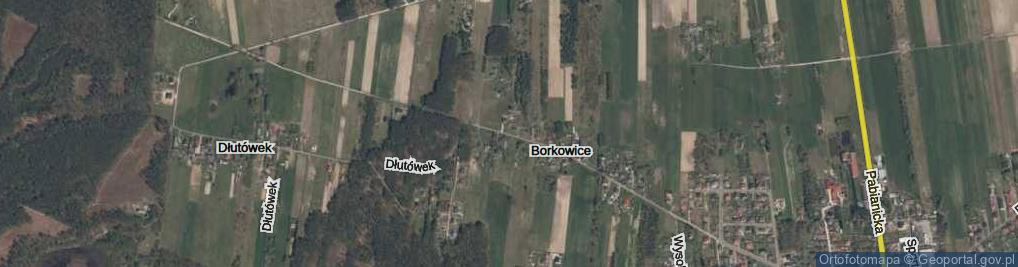 Zdjęcie satelitarne Borkowice ul.
