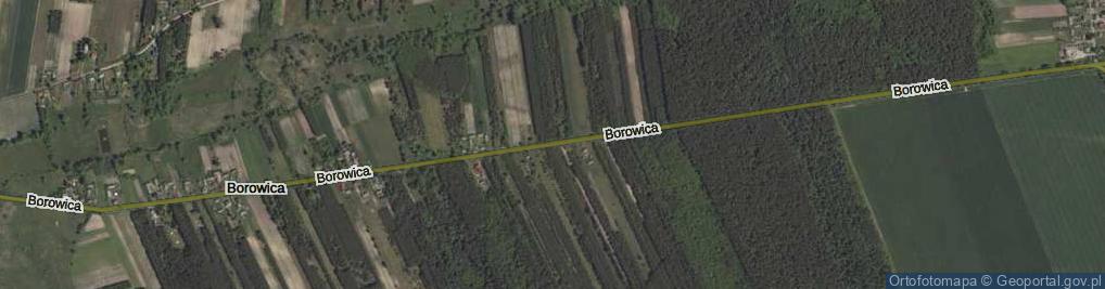 Zdjęcie satelitarne Borowica ul.