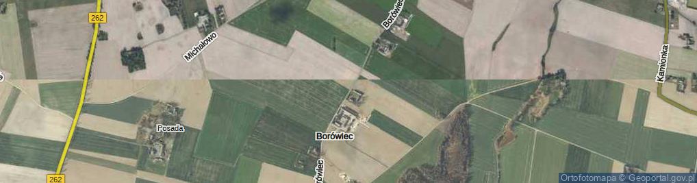 Zdjęcie satelitarne Borówiec ul.