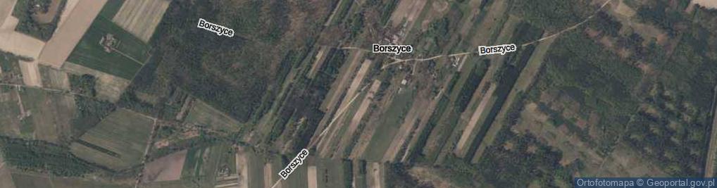Zdjęcie satelitarne Borszyce ul.