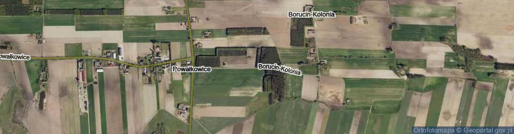 Zdjęcie satelitarne Borucin-Kolonia ul.
